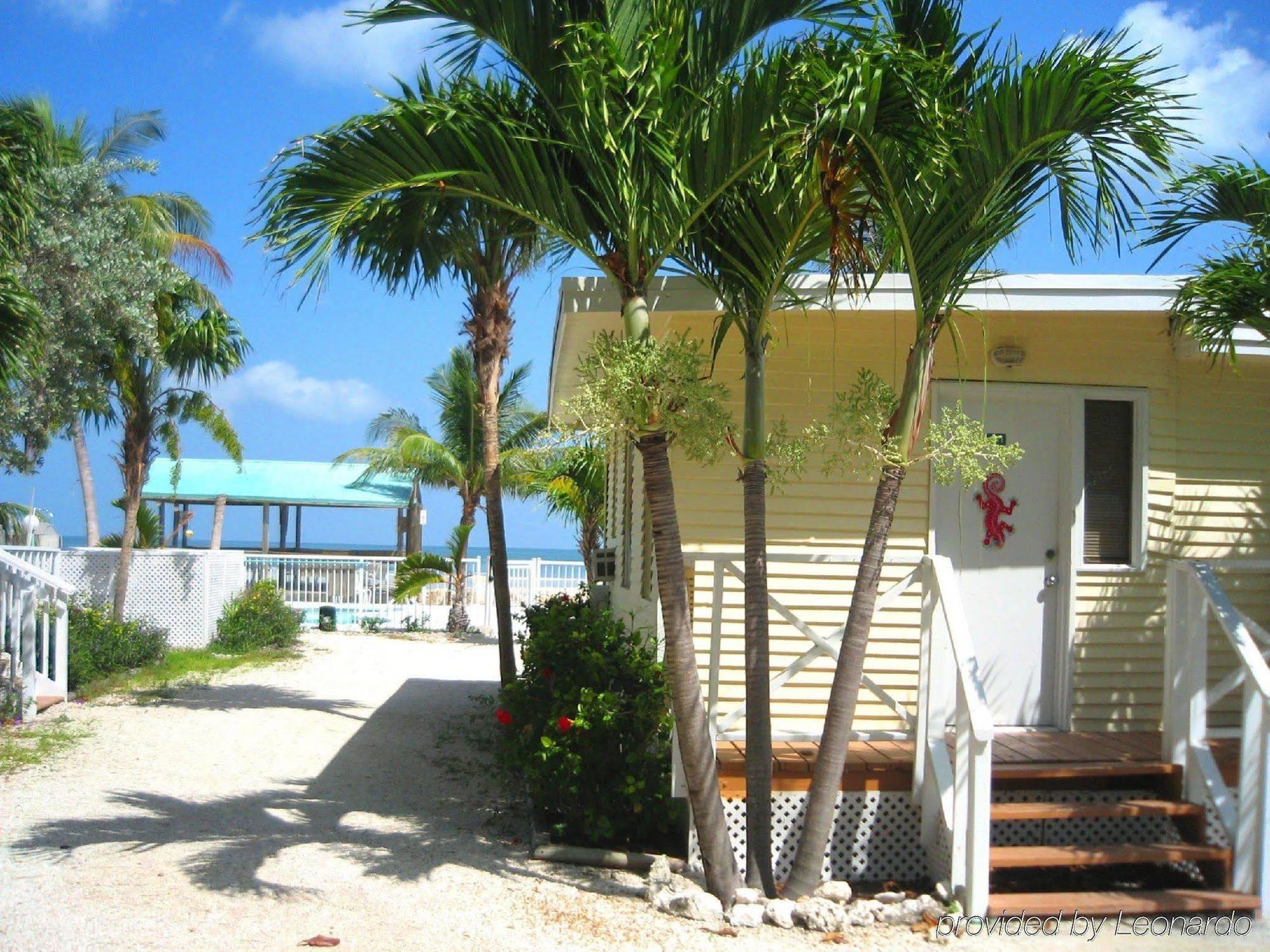 Bonefish Resort Motel Marathon Εξωτερικό φωτογραφία